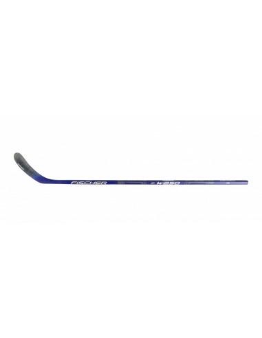 stick-hockey-hielo-linea-fischer-w250-youth