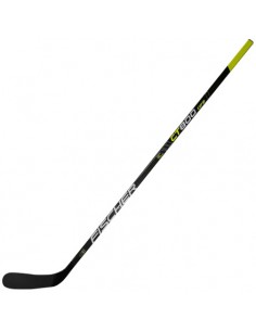 Stick Hockey Fischer CT800...